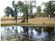 2292 Ipswich Boonah Road, Peak Crossing QLD 4306
