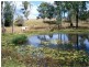 2292 Ipswich Boonah Road, Peak Crossing QLD 4306