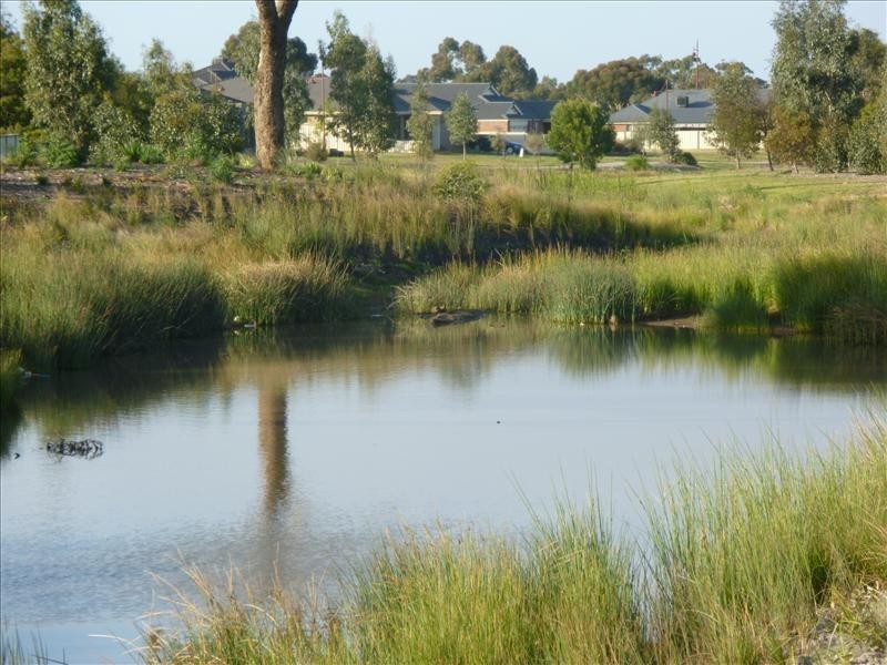 29 Riverviews Road, Melton West VIC 3337