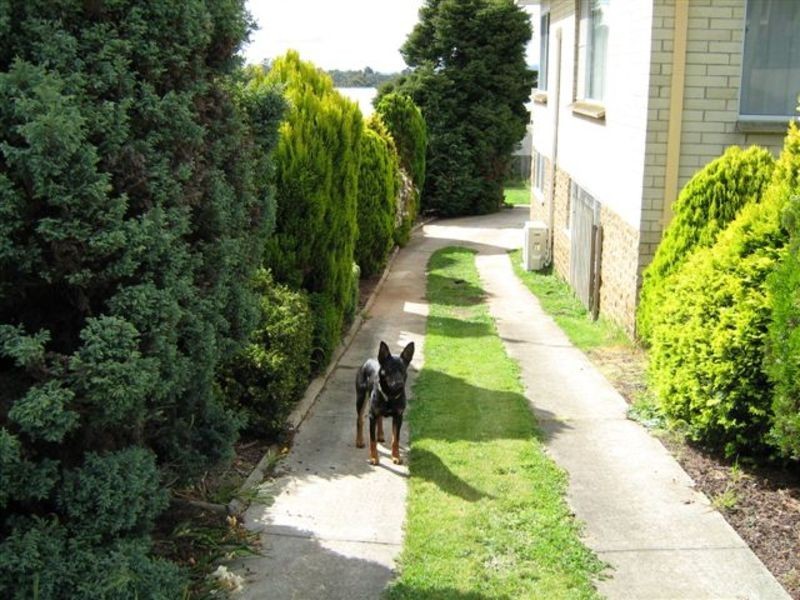 7 Boiton Hill Road, Norwood TAS 7250