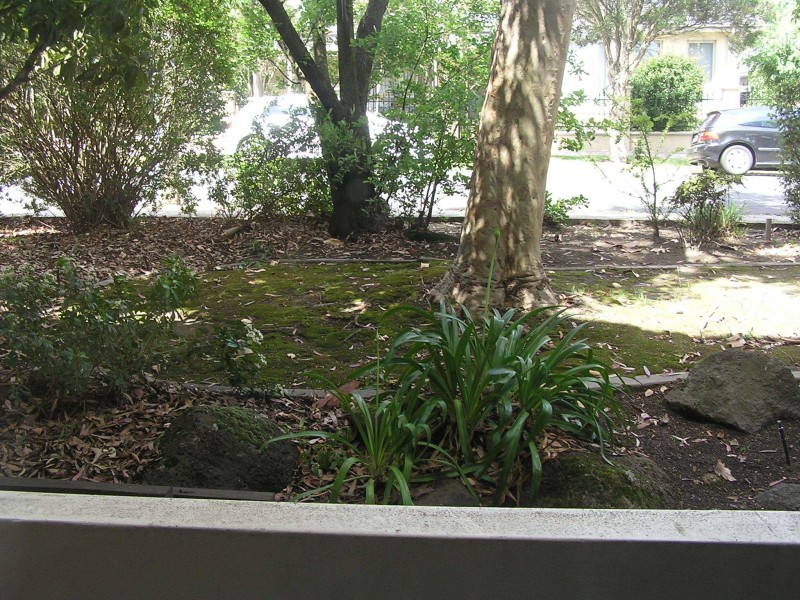 1/21 Rose Street, Box Hill VIC 3128