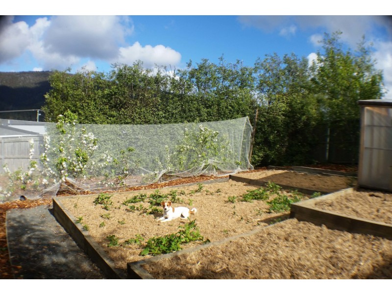 15 Beauty View Road, Huonville TAS 7109