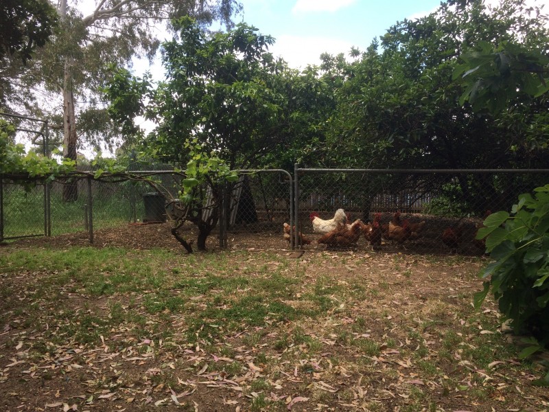 24  Waylen Street, Guildford WA 6055