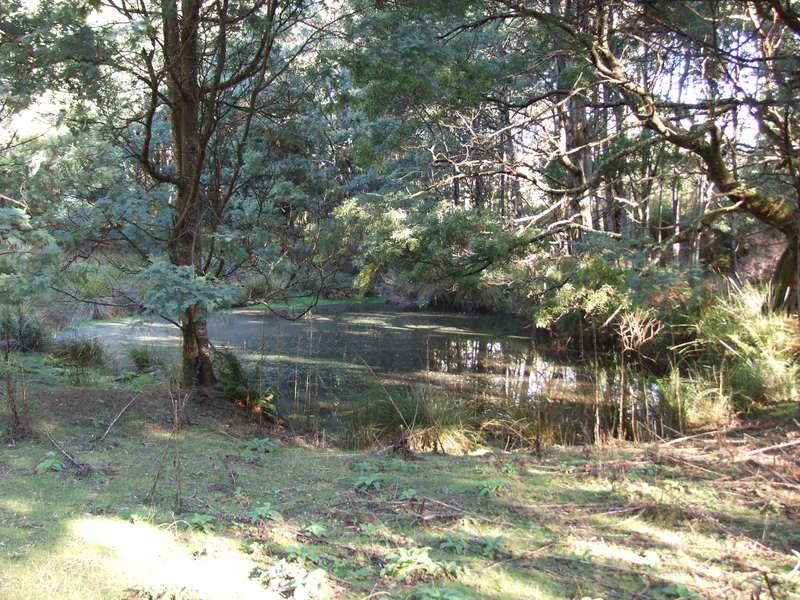 75 Coppermine Road, Frankford TAS 7275