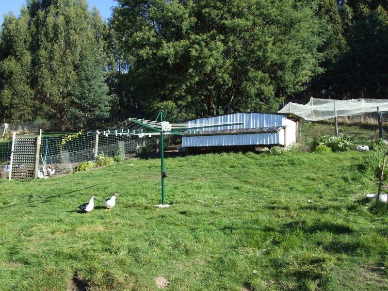 75 Coppermine Road, Frankford TAS 7275