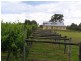 lot 62/2 Oakey Creek Road, Pokolbin NSW 2320