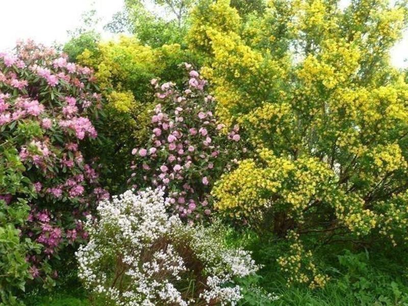 1/11 Stradbroke Rd, Boronia VIC 3155