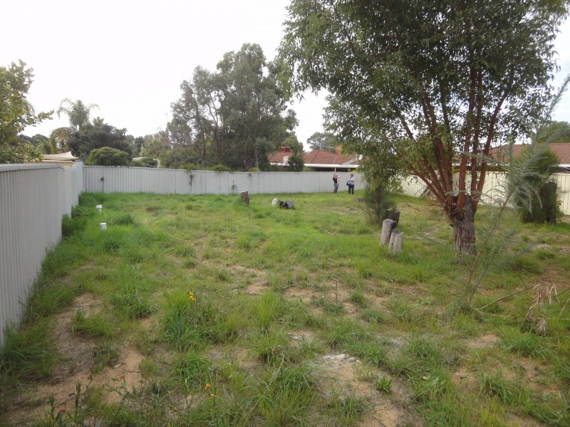 3A Liberton Place, Coodanup WA 6210