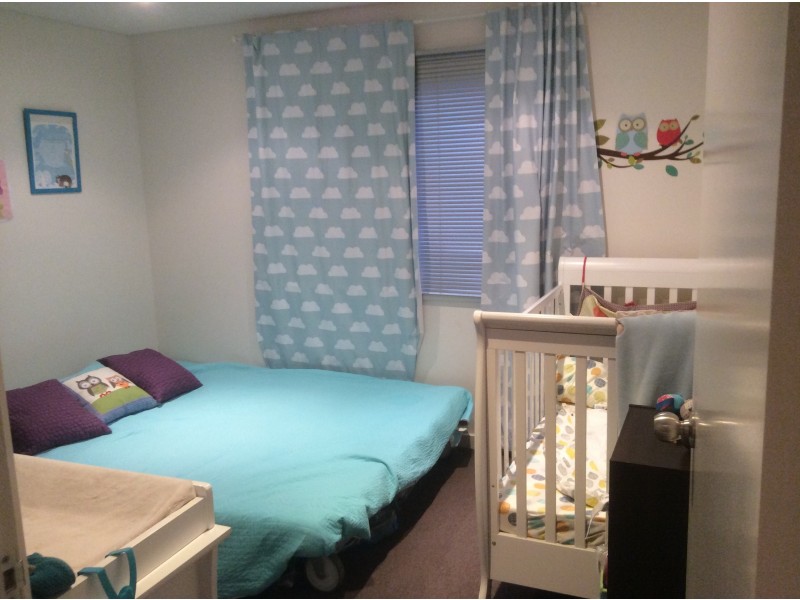 11  Vinrace Street, Adelaide SA 5000