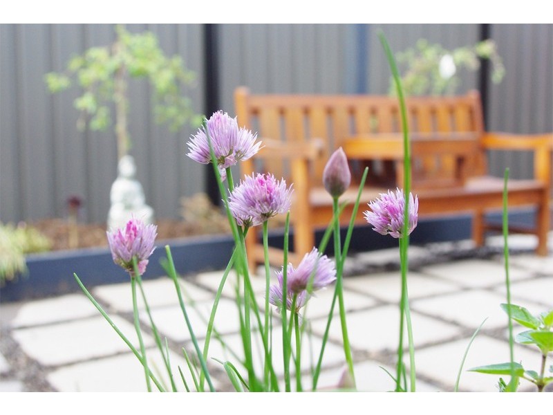 3 Rothesay Ave, Derrimut VIC 3030