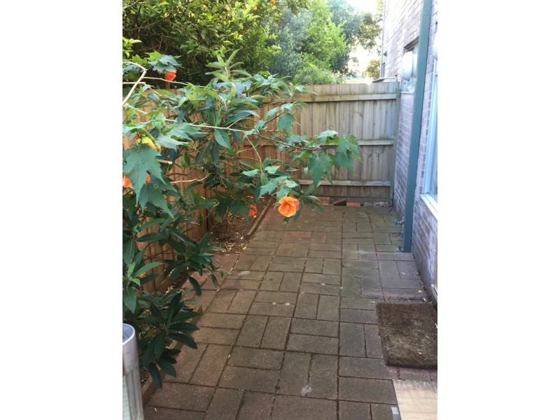 1/31 Staley Street, Brunswick VIC 3056