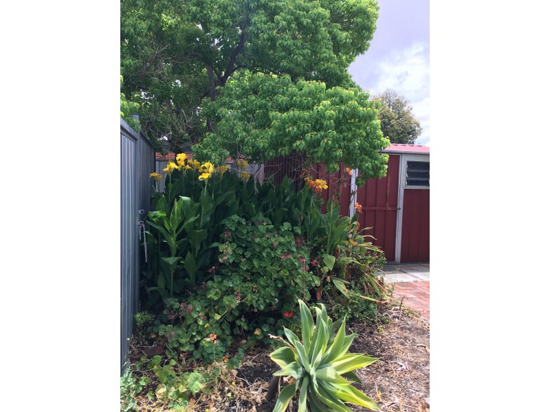 28 May Street, Bayswater WA 6053