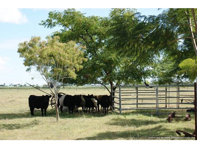 39 Paynes Road, Alloway QLD 4670