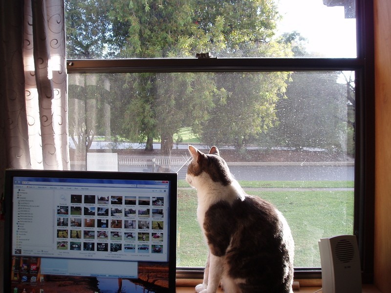 27 The Parade, Marion SA 5043