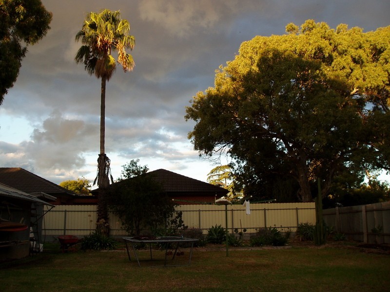 27 The Parade, Marion SA 5043