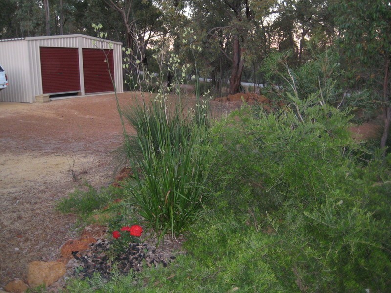 165 Maine Anjou Drive, Lower Chittering WA 6084