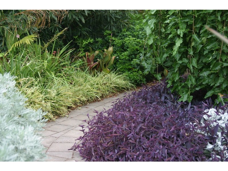 12 Bruce Street, Broadview SA 5083