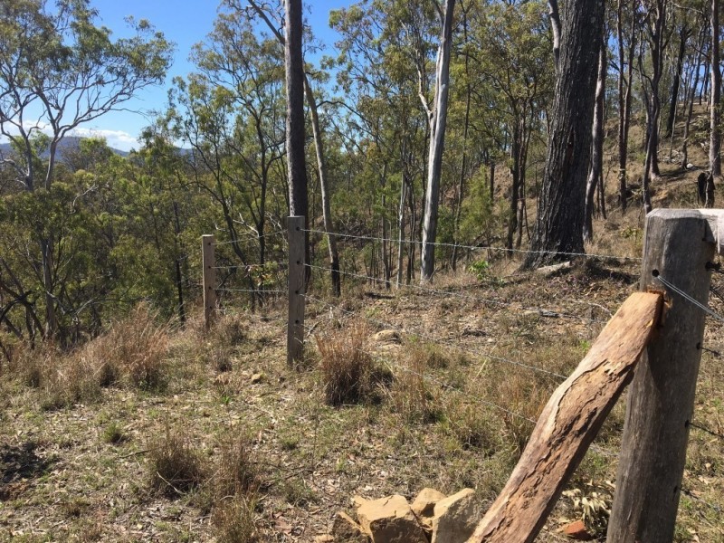 Lot 63 Tully Road, Lyons QLD 4124