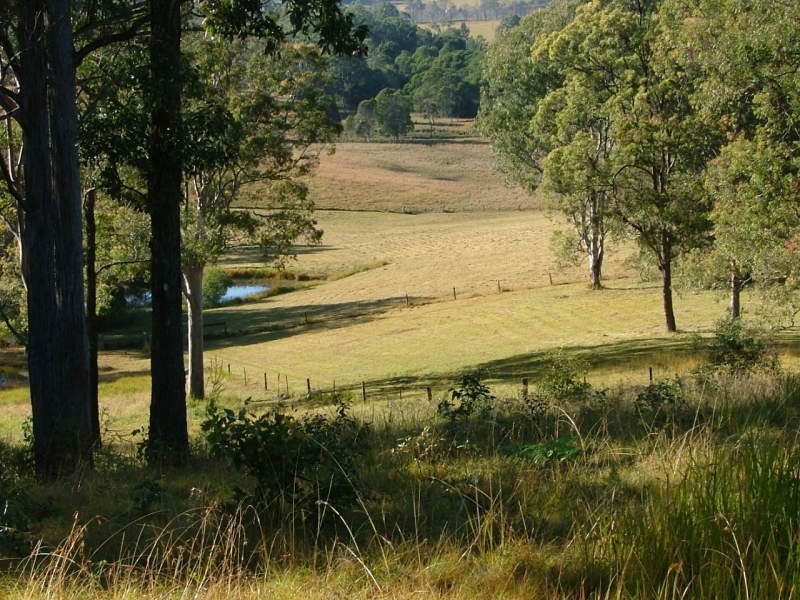 109 Ellems Quarry Rd, Nana Glen NSW 2450