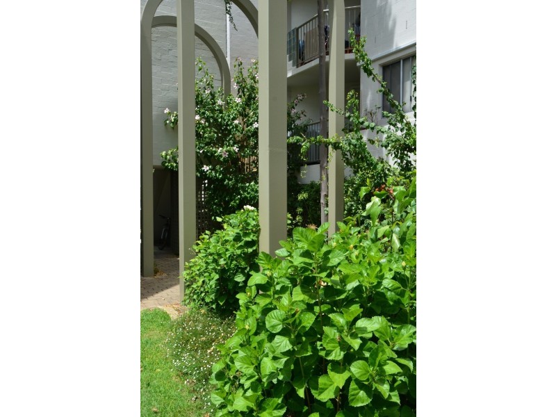 19/46 Smith Street, Highgate WA 6003