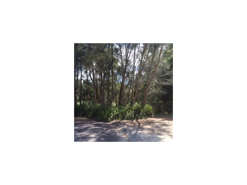 8 CARAWA CLOSE, Buff Point NSW 2262