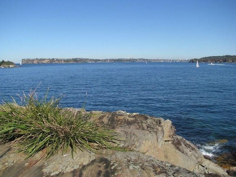 46/1 Addison Road, Manly NSW 2095