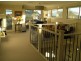 1  Deeble St, Tennyson Point NSW 2111