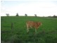 Gin Gin QLD 4671