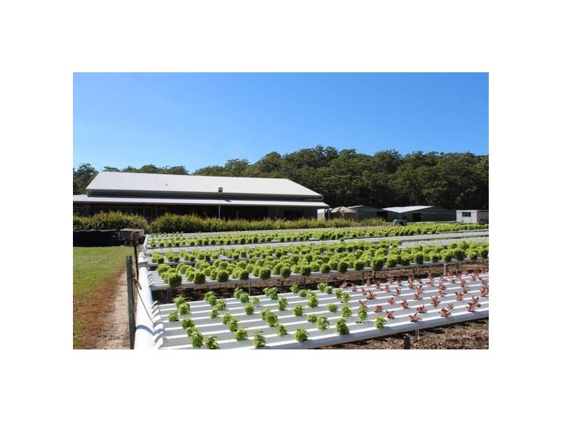 476c Marsh Rd, Bobs Farm NSW 2316