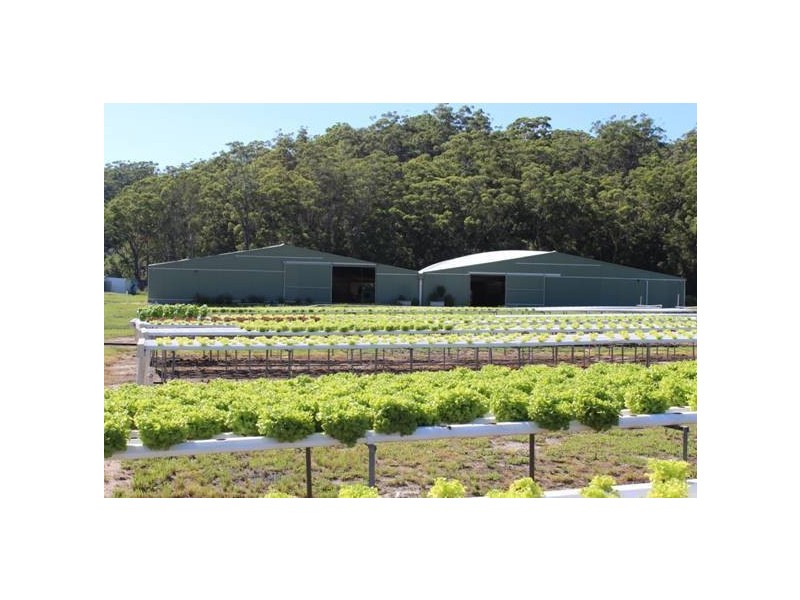 476c Marsh Rd, Bobs Farm NSW 2316