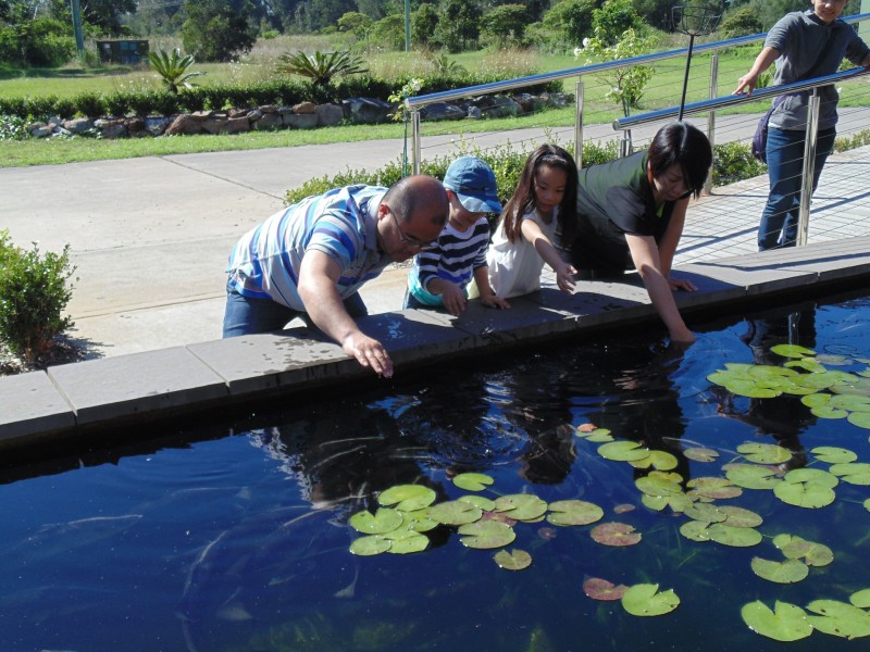 476c Marsh Rd, Bobs Farm NSW 2316