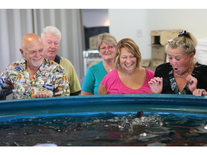 476c Marsh Rd, Bobs Farm NSW 2316