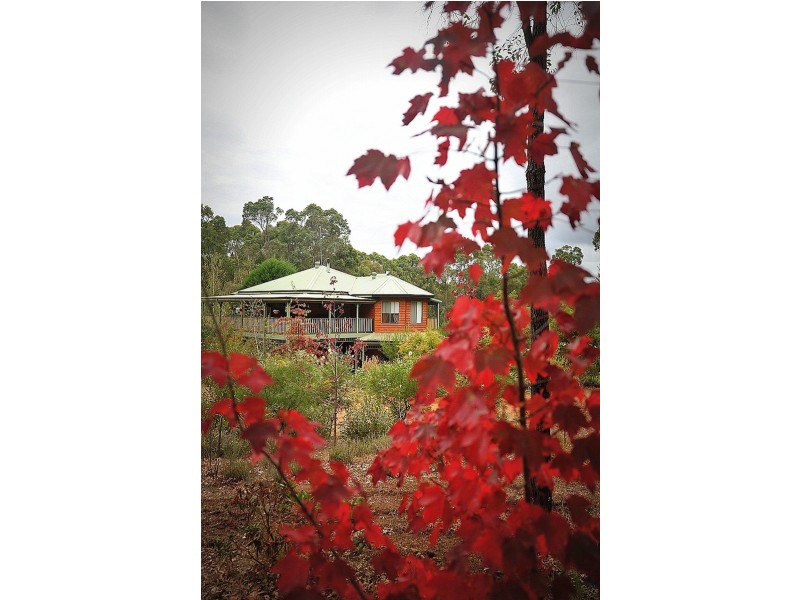 93 Springdale Road, Manjimup WA 6258