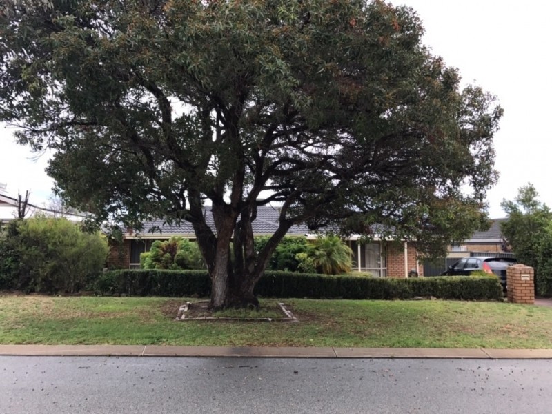 8 Finch Court, Kingsley WA 6026