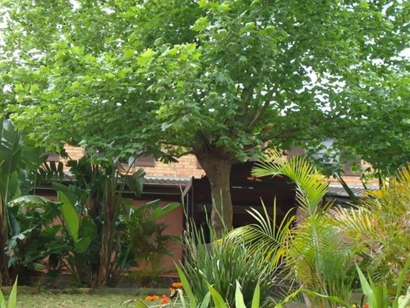 3  Yale Close, North Rocks NSW 2151