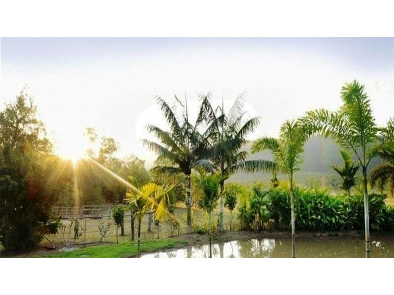 42 Holloway Drive, Sugarloaf QLD 4800