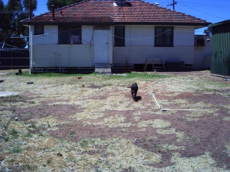 1 Scorpio street, Southern Cross WA 6426