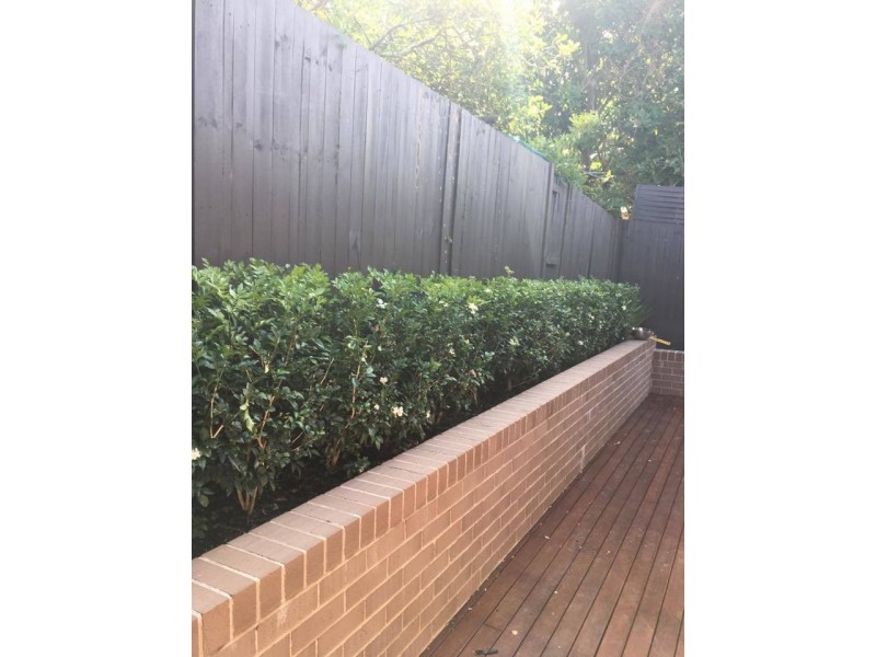 12A Melba Drive, East Ryde NSW 2113