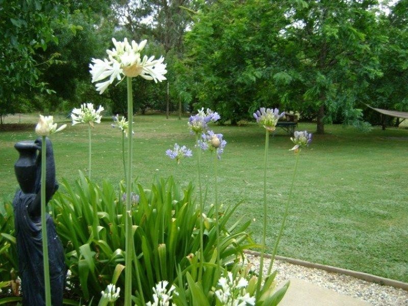 7103 Great Alpine Road Porepunkah, Bright VIC 3741