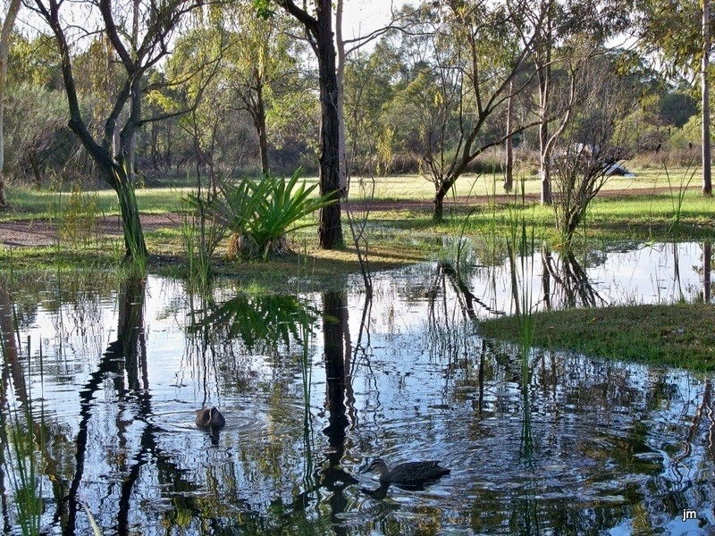 91 Mustang Road, Champion Lakes WA 6111