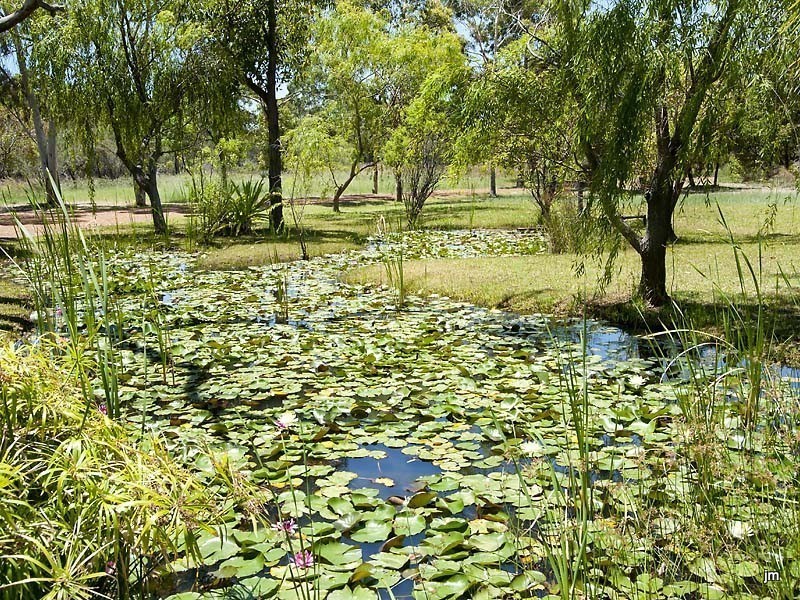 91 Mustang Road, Champion Lakes WA 6111