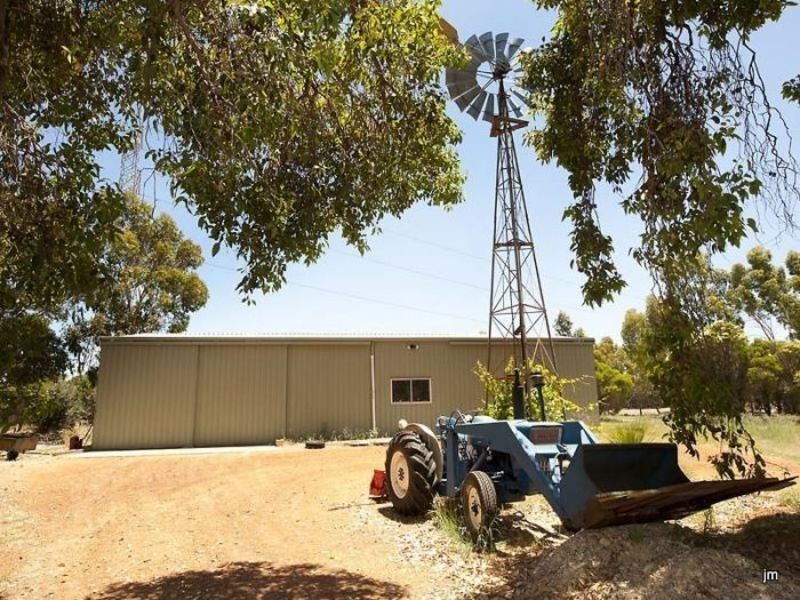 91 Mustang Road, Champion Lakes WA 6111