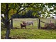 2  Archers Rd, Franklin TAS 7113