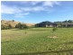 8 Lighthorse Parade, Glenbawn NSW 2337
