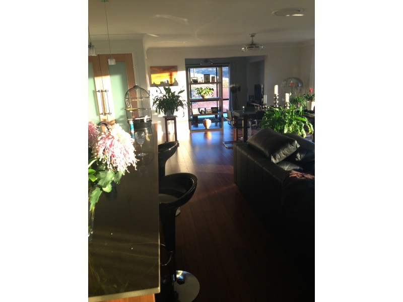 8 Lighthorse Parade, Glenbawn NSW 2337