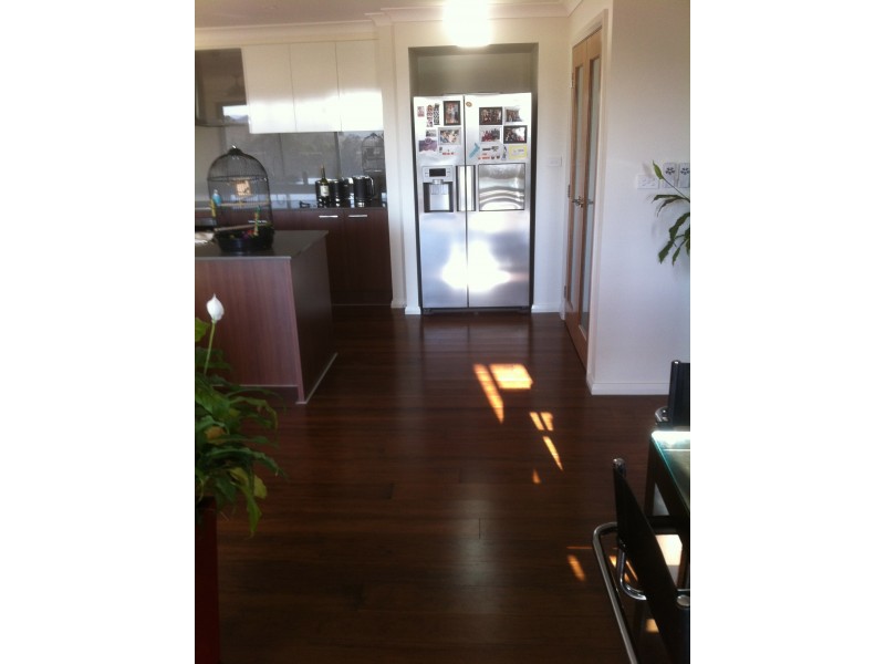 8 Lighthorse Parade, Glenbawn NSW 2337