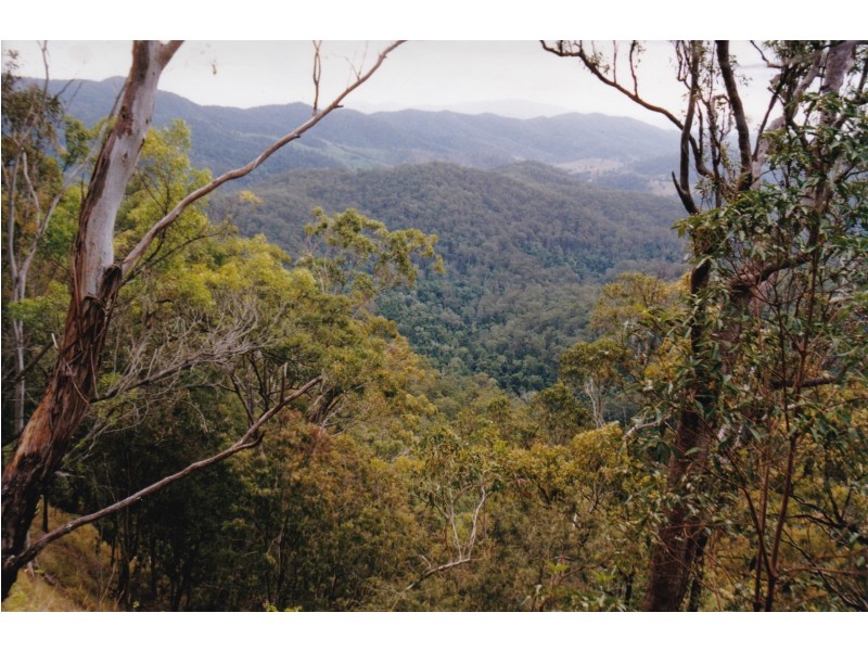 1966 Mt Byron Road, Mount Byron QLD 4312