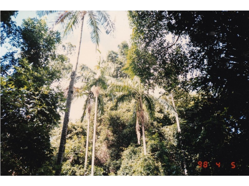 1966 Mt Byron Road, Mount Byron QLD 4312