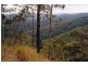 1966 Mt Byron Road, Mount Byron QLD 4312