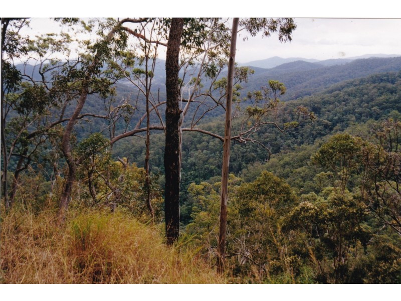 1966 Mt Byron Road, Mount Byron QLD 4312
